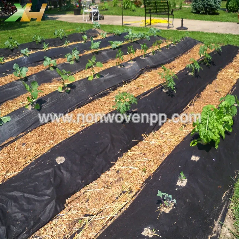 non woven fabric used in agriculture